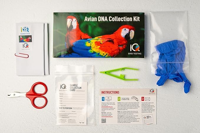 Bird DNA Gender Test Kit – Accurate Avian Sexing Using Feather or Blood – Includes 1 Prepaid Test – Easy Sample Collection – Trusted Lab Service Based in Florida