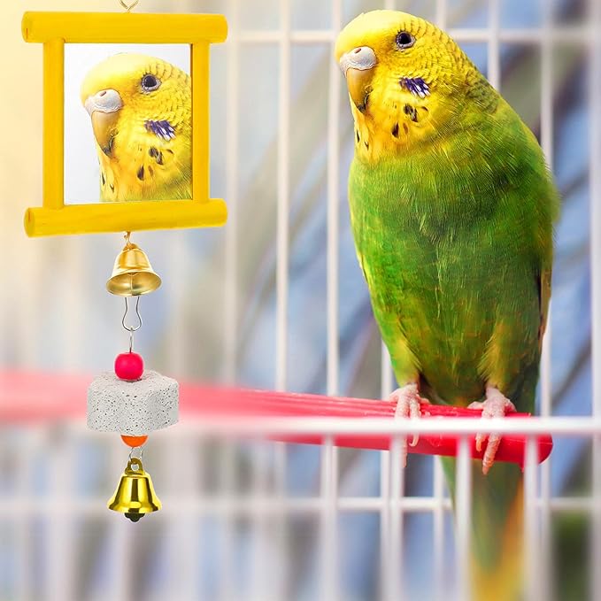 Sumind 6 Pieces Chicken Mirror Chicken Toys for Coop with Bells, Hen Xylophone Toy with 8 Metal Keys, Parrot Grinding Stone, Sepak Takraw Toy, Dangling Bird Toy