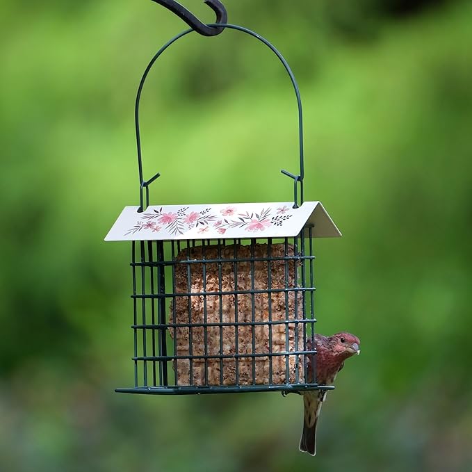 Wild Wings Decorative Metal Suet Cage Feeder for Outdoor Décor Wild Bird Feeders, 1 Suet Cake Capacity, Hanging Suet Feeder, Black