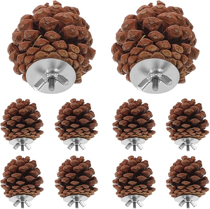 LIOOBO 10 Pcs Natural Pine Cones Bird Toys, Parrot Chew Toy for Cage, Wood Foraging Shredding Playthings Conure Cockatiel Parakeet African Grey Macaw Nut Fixed
