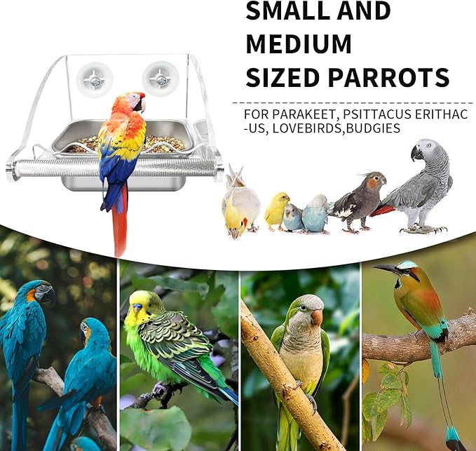 Bird Feeder for Cage,No Mess Bird Feeders, with Anti-Slip Stand, Stainless Steel Bird Bowls Parakeet Feeder for Parakeet, Psittacus Erithacus, Lovebirds,Budgies