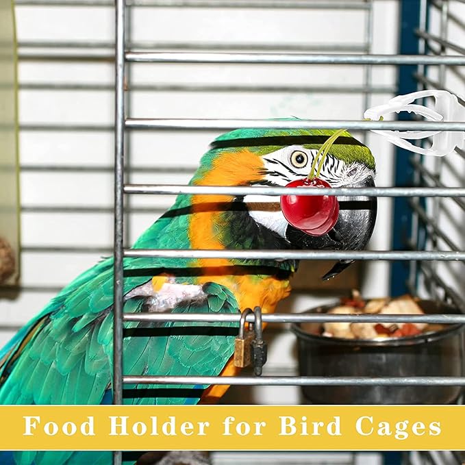 3Pcs Bird Snack Holder for Fruit Vegetable Treat Food Clips Easy to Install for Cage Feeder for Small Parrots