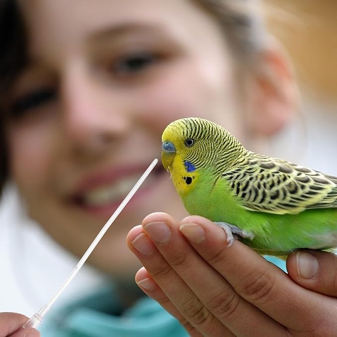 5Pcs Bird 12cm Immature Birds Device Transparent Feeder Water Feeder for Parrot Hand Tools Parakeet Food