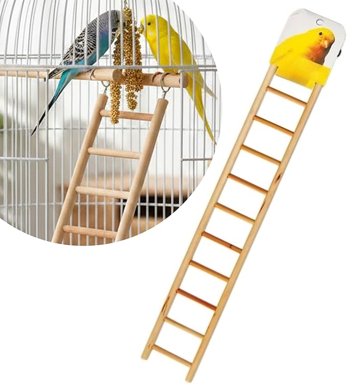 Wooden Bird Ladder 11 Step Climbing Toy 17 Inch Parrot Cage Accessory Interactive Exercise Perch Durable Natural Wood for Parrots Cockatiels Budgies Finches Conures Lovebirds Cage Decor
