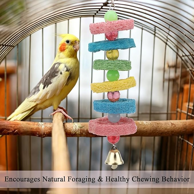 Hypeety Bird Toys Parrot Hanging Chew Toys Natural Colorful Loofah Shred and Preen Swing Bird Bell Cage Parrot Toys