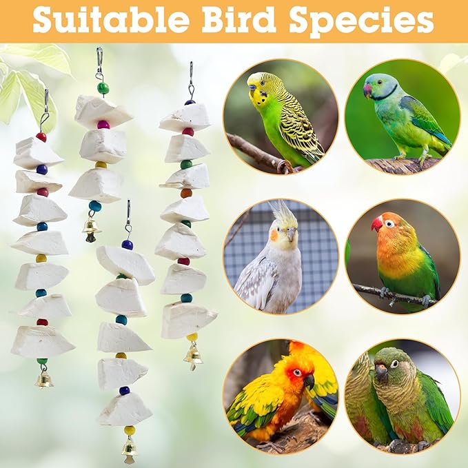 BNOSDM Bird Toys with Cuttlebone 4 Pack Hanging Cuttle Bone Chew Toys Natural Bird Beak Grinding Stone Parakeet Calcium Toys Bird Cage Accessories for Budgies Cockatiels Lovebirds Conures Parrots (7)