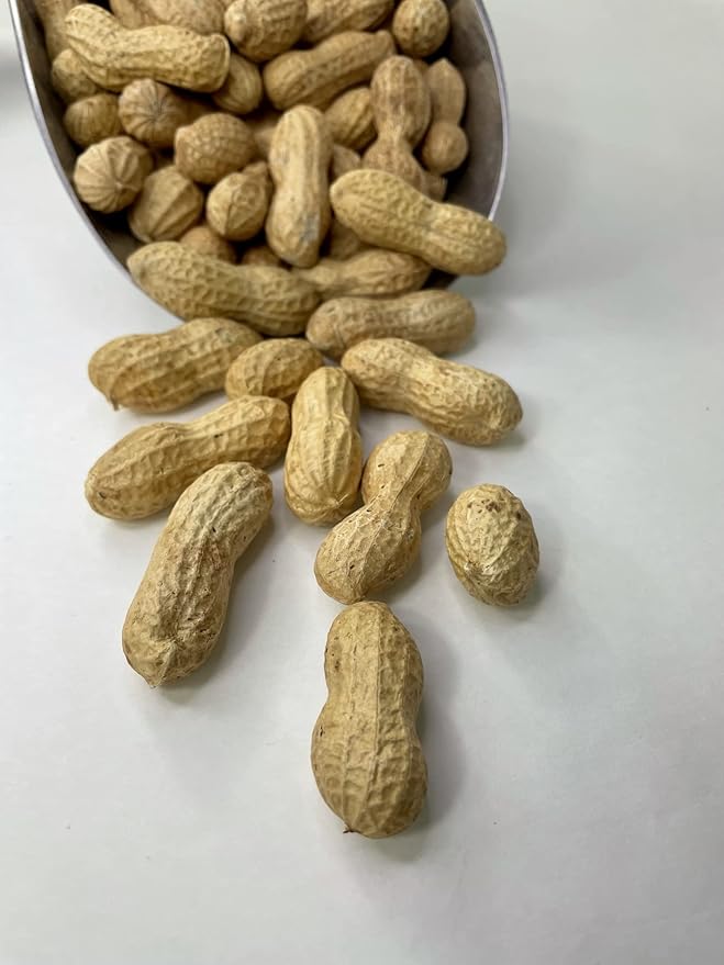 Premium Raw Peanuts in Shell for Animal Feed - 10LB