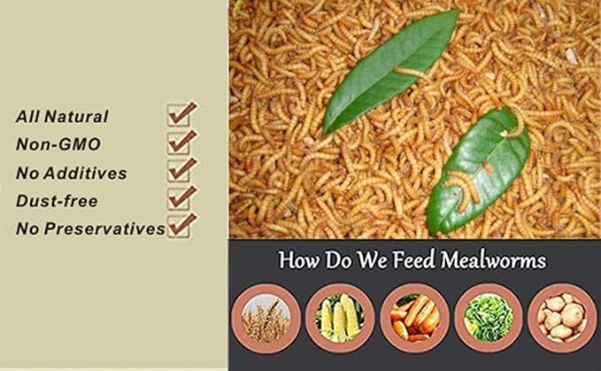 Non-GMO Dried Mealworms 6LB, 100% Natural Large Size No Moisture,Treats for Birds Chickens Hedgehog Hamster Fish Reptile Turtles (6lb)