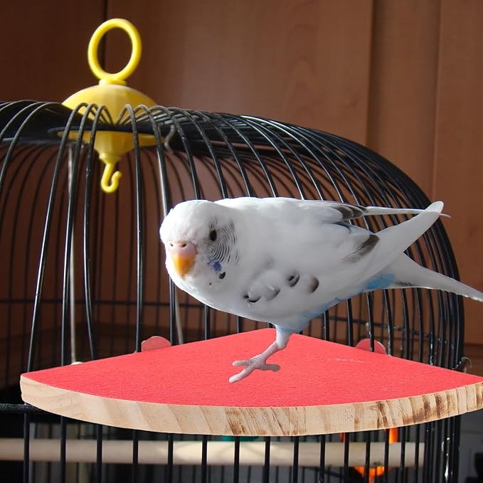 Bird Perch Stand Toy, Wood Parrot Stand Platform, Bird Cage Accessories Exercise Toys for Pet Parrot Cockatiels Lovebirds (Random Color, 7.1 Inch)