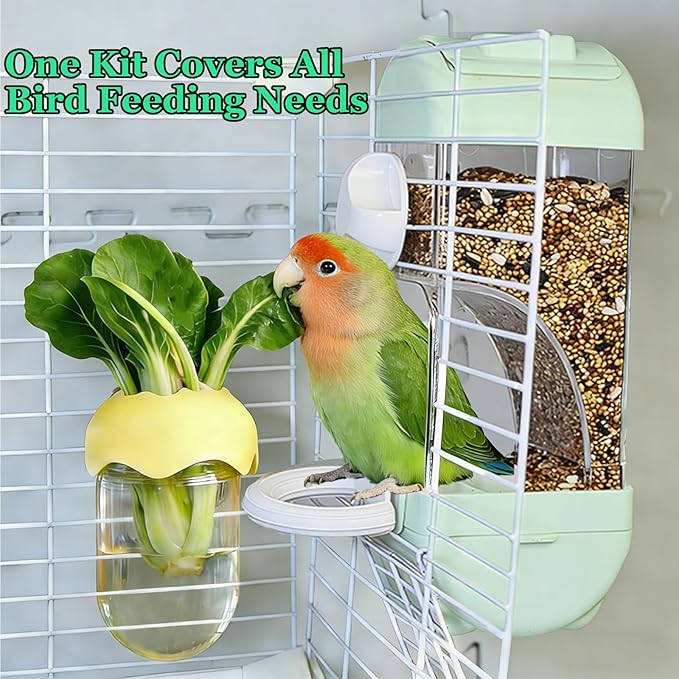 Automatic Bird Cage Feeder No Mess Bird Feeding Station Parrot Vegetable Holder Fruit Clips for Parakeet Cockatoo Canary Lovebirds Budgie (Blue)