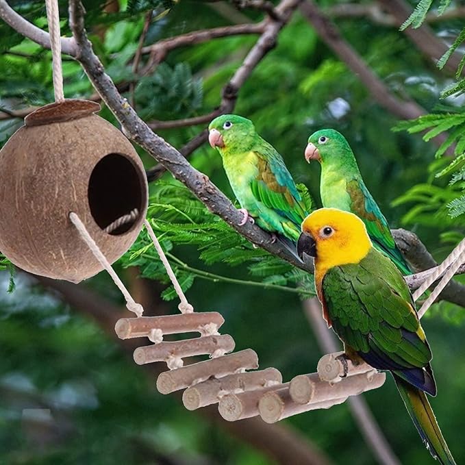 Ladder Nest, Natural Coconut Bird House, Natural Coconut Fiber Shell Bird Nest for Parrot Parakeet Lovebird Finch Canary