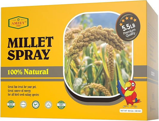 Amzey 5.5LB Spray Millet for Parakeets, 100% Natural Sun-Dried Healthy Bird Treat, Non-GMO High Protein Fresh Millet Spray for Parrots, Cockatiel, Finches & Lovebirds