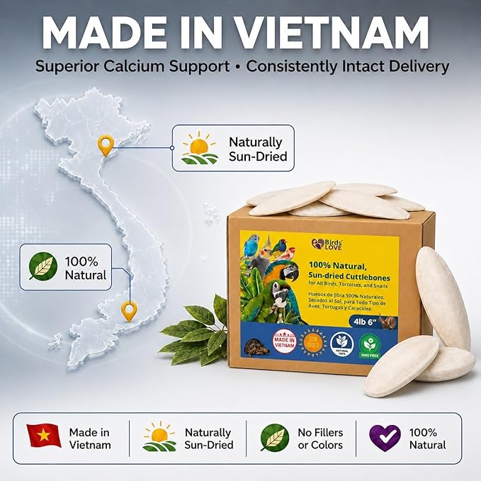 Birds LOVE 5.5-6″ Cuttlebones for Birds – 100% Natural Sun-Dried Calcium Carbonate Mineral Supplement – for Parakeets, Budgies, Cockatiels, Finches & Canaries – 4 lb with Holder – Made in Vietnam