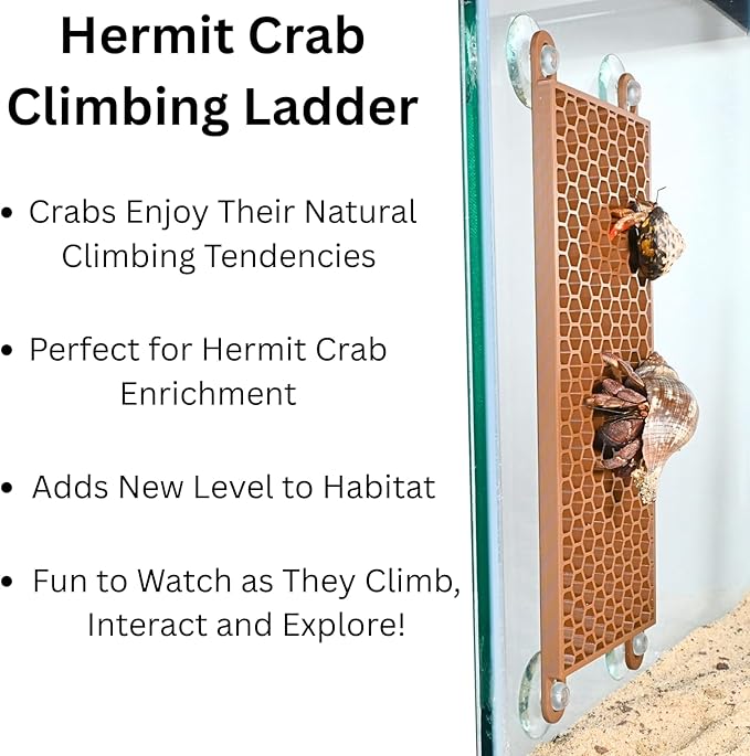 Lucky Critter Hermit Crab Ladder Climbing Toy | Hermit Crab Tank Enrichment Decor | Hermit Crab Decoration Accessories Supplies Toys Ornaments
