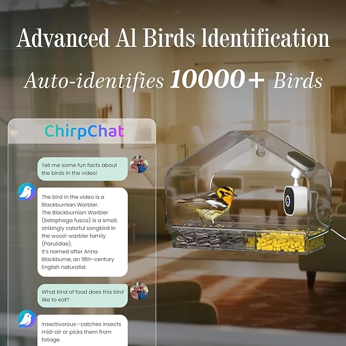 Smart Window Bird Feeder Camera with AI, Modern Design for Panoramic Views, 2K HD Live Feed, USB Powered & Secure Suction Mount - The Ultimate Tech Gift (Clear)