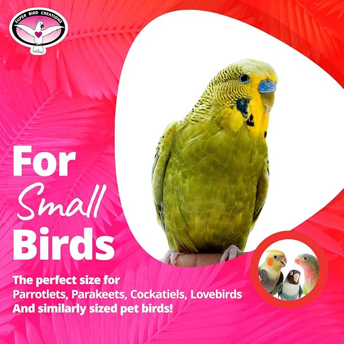Super Bird Creations SB473 Peekaboo Perch Tent for Small Birds, Bird Bed & Parrot Perch, Ideal Bird Cage Accessories for Parakeets, Finch, Canary Cockatiels, Comfortable Bird Perches Cage, 10”x4”x4.5”
