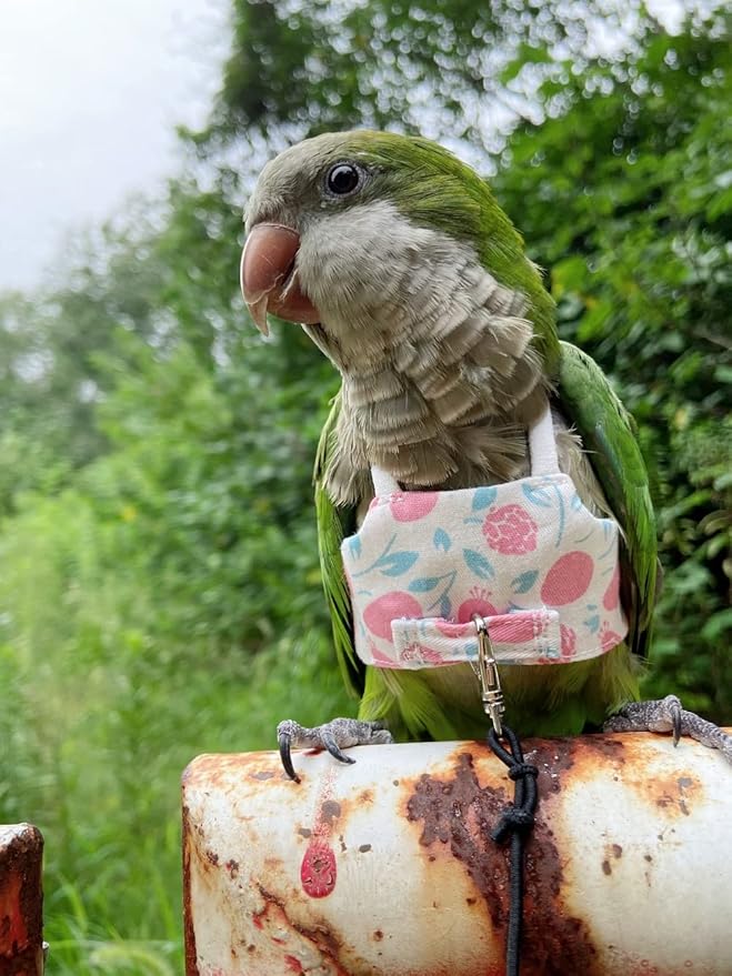 Bird Flight Harness Vest, Parrot Flight Suit with Leash for Parakeets Cockatiels, Bird Flying Clothes with Rope and Handle for Outdoor Activities Training (Pink Without Leash,Large)
