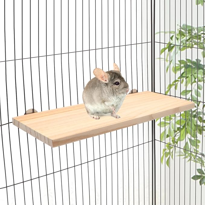 Wontee Bird Perch Stand Wooden Platform for Cockatiels Conures Rats Gerbils Chinchillas Squirrels (M)