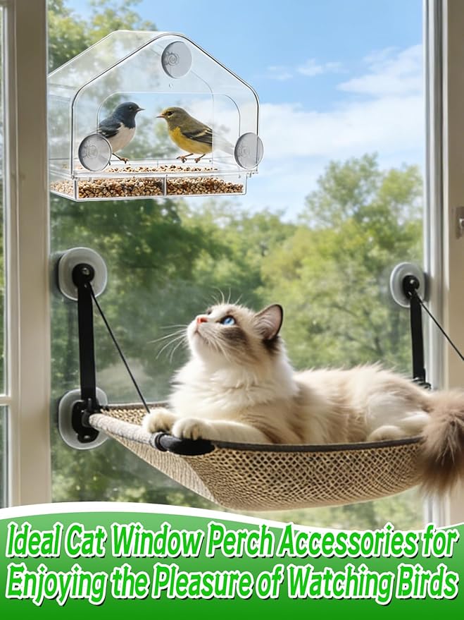 Outdoor Window Bird Feeder for Cats Viewing - Clear Bird Feeder with Strong Suction Cup, Cat Perch Accessories for Entertaining Watching, L
