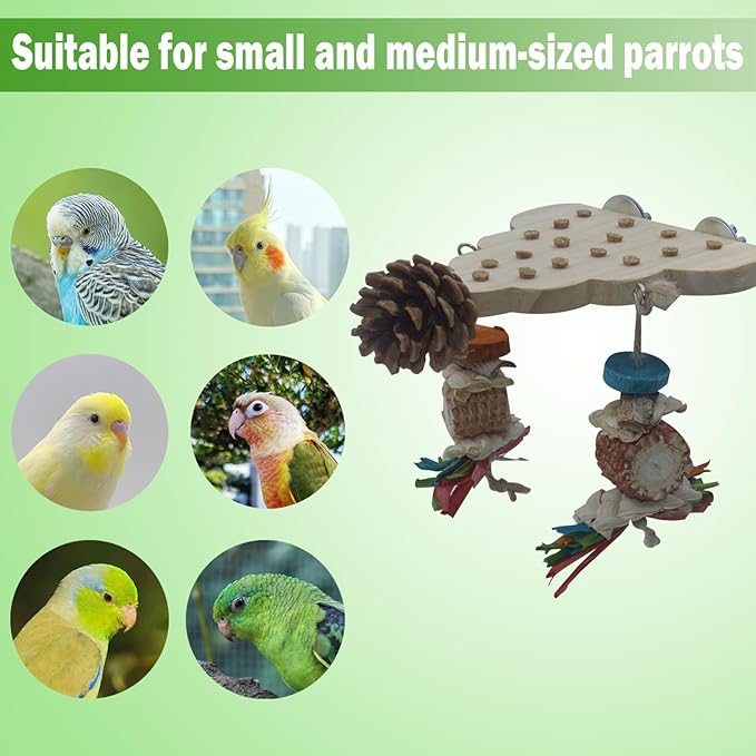 2 Pack Parrot Toys, Parrot Wooden Toys Long Tailed Bird Toys with Pure Natural Corn Sticks and Pure Natural Pine Cones, Fun Bird Cage Accessories