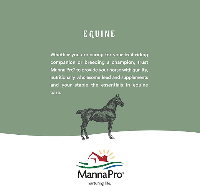 Manna Pro Hen Healer Multi-Purpose Ointment | Helps Support Healing | 2 Ounces