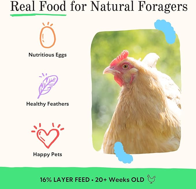 Grubbly Farms Fresh Pecks Layer Chicken Feed Textured Mix - 16% Layer Feed for 20+ Week Old Hens, Batams, and Larger Breeds - Contains Black Soldier Fly Grubs - No Soy, Corn, or Fish - 30 lb Bag