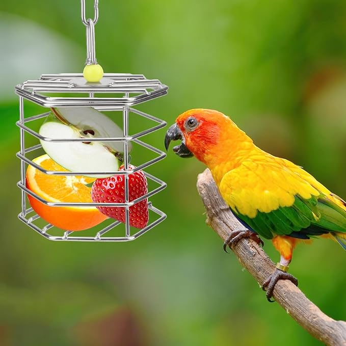 Hypeety Parrot Foraging Feeder, Stainless Steel, 4.09 x 4.09 x 3.85 in, Bird-safe, Dishwasher Safe, Filled with Nuts, Fruit or Veggies