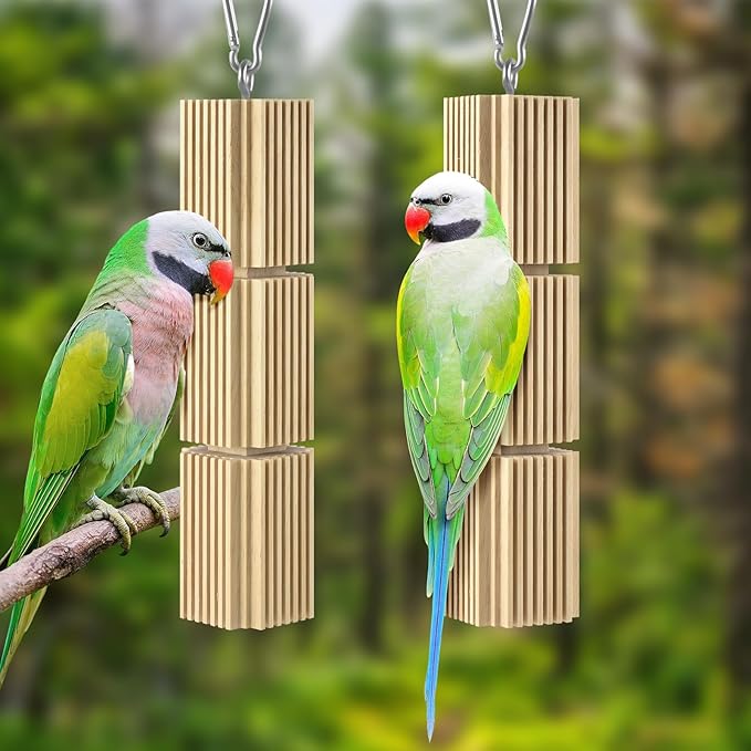 DBNESS 2 PCS Bird Chew Toys, Natural Hanging Parrot Foraging Beak Grinding Wood Chewing Blocks for Medium Quaker Caique Conure Cockatiel African Grey Birds Cage Accessories Similar Sized Pet Birds