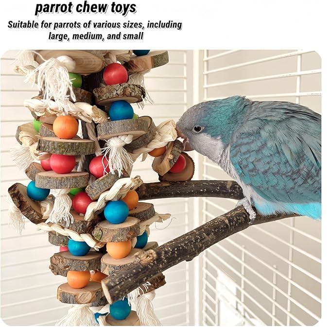 Bird Parrot Toys for Cage, 2 Pack Chew Toys with Apple Wood Slices, Cuttlebone & Colorful Blocks for Parakeets,Cockatoos, Conures, Cockatiels (Apple Wood Chips + Cuttlefish Bone)