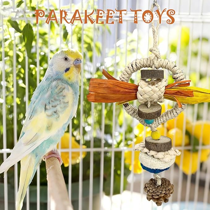 Parakeet Toys, Natural Hanging Bird Chewing & Foraging Toy with Corn Foliage and Seagrass, Beak-Safe Chewer for Conures, Cockatiels, Senegal Parrot and Small to Moderate-Sized Birds