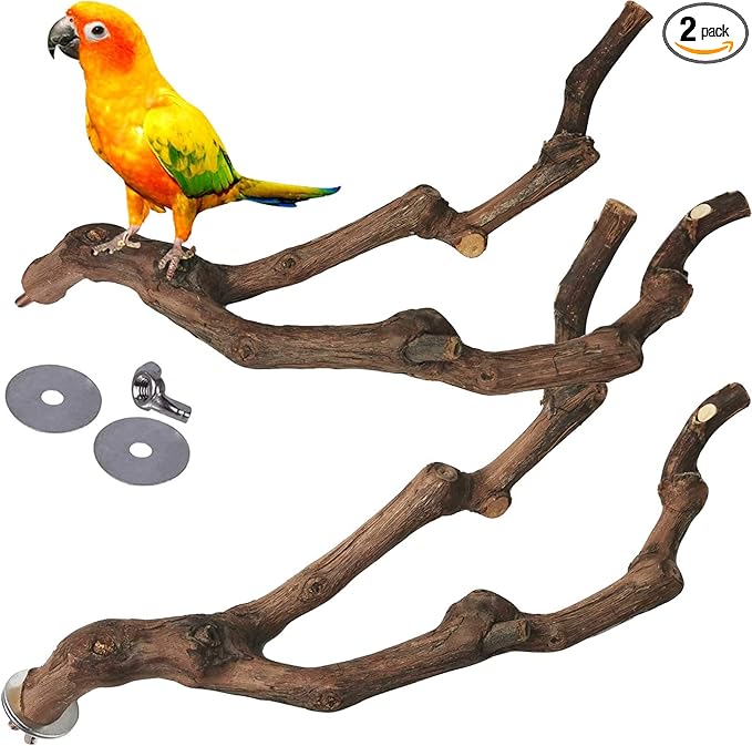 kathson Natural Parrot Perch Bird Stand Pole Wild Grape Stick Paw Grinding Fork Parakeet Climbing Standing Branches Toy Chewable Cage Accessories for Small Budgies Cockatiels Lovebirds 2PCS