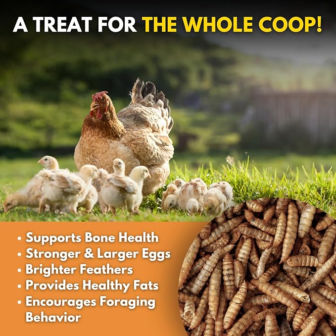 Brooks Brand Black Soldier Fly Larvae Chicken Treats, Mealworms Alternative, Grubs for Chickens, High Calcium for Laying Hens, Made in USA, 1.75 lbs
