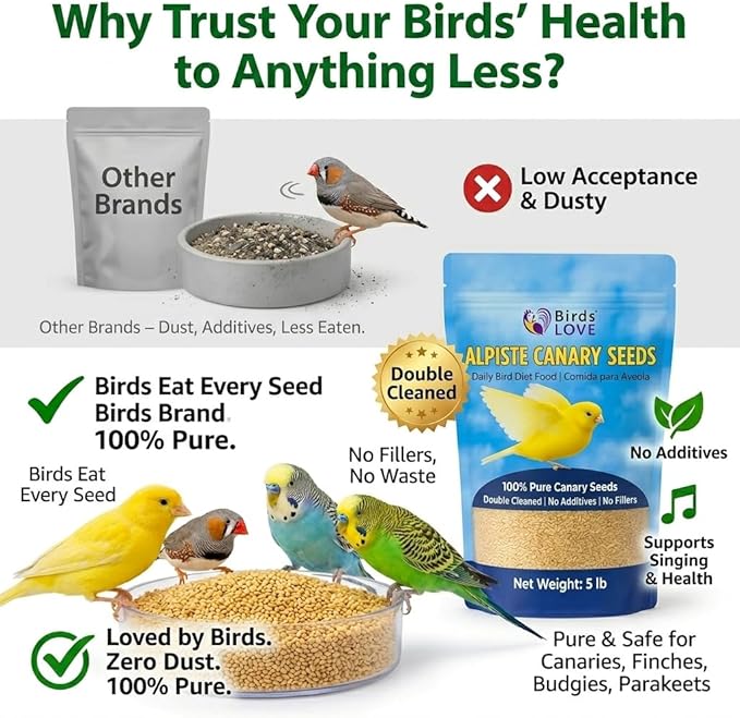 Birds Love Alpiste Canary Seed – 100% Pure, Non-GMO, Double Cleaned Food for Canaries, Finches, Budgies & Parakeets – No Additives, Bird Feed, 5 lbs