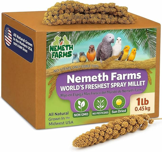 Nemeth Farms Spray Millet - Edible Tops Only, Non-GMO and Sun-Dried - 1 lb for Parakeets, Canaries and Finches