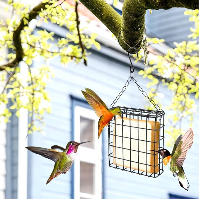 2Pcs Outdoor Suet Cage Bird Feeder, Hanging Wild Bird Feeder with Single Suet Cake Capacity, Multi-Use for Suet/Oranges/Nesting