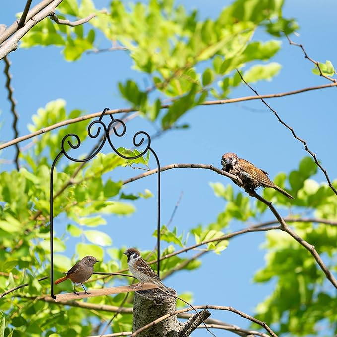 3 Pcs Hummingbird Swings and Perches Wild Bird Swing Metal Frame with 3 Hanging Chain and Wooden Dowel Hummingbird Swings for Outdoors Hanging, Outdoor, Trunk, Lawn, Patio, Garden, 3 Styles