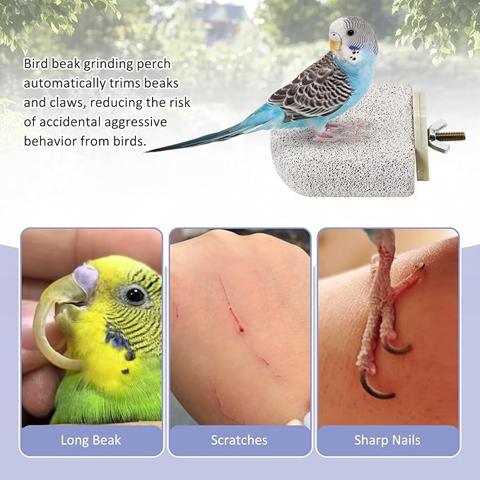 BNOSDM 4 Pcs Small Natural Parrot Beak Grinding Stone Parakeet Chew Toy Calcium Parrot Perch Stand Bird Cage Accessories for Budgies, Cockatiels, Conures, Lovebirds, Canary