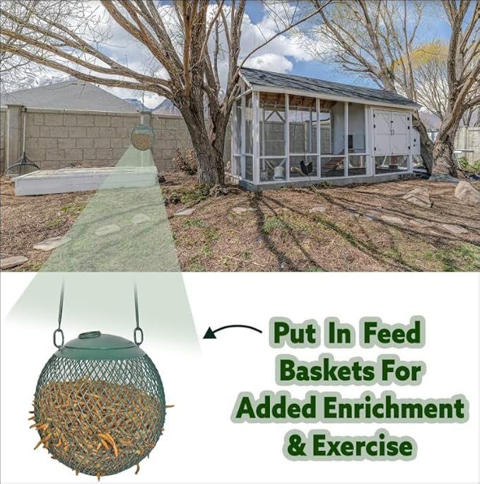 Exotic Nutrition 40 LB Bulk Dried Black Soldier Fly Larvae - High-Calcium Insect Treat - Chickens, Wild Birds, Bluebirds