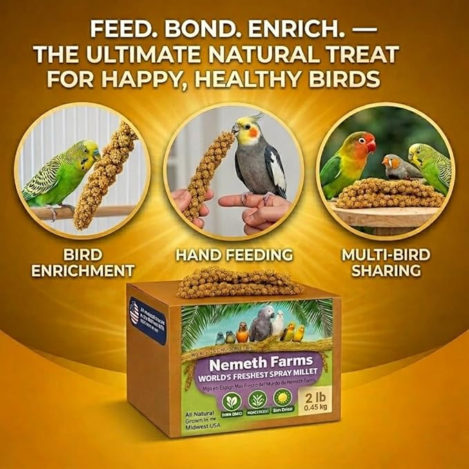 Nemeth Farms Spray Millet - Edible Tops Only, Non-GMO and Sun-Dried - 2 lbs for Cockatiels, Lovebirds and Budgies