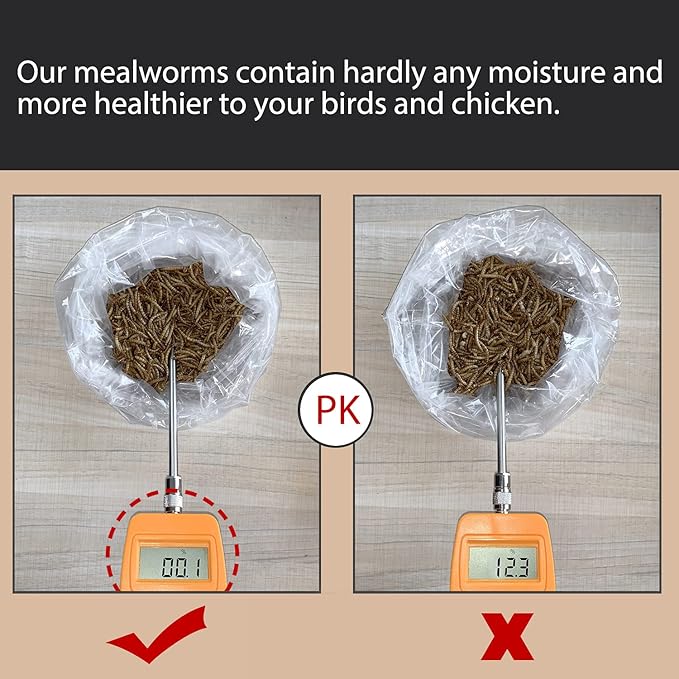 Non-GMO High-Protein Large Dried Mealworms for Chickens, Natural Grubs and Poultry Treats as Chicken Feed,Duck Food, Wild Birds Seed,Fish Food,Reptile Food,Amphibian Food(Mealworms-11LB)