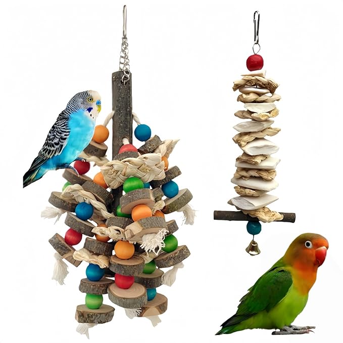 Bird Parrot Toys for Cage, 2 Pack Chew Toys with Apple Wood Slices, Cuttlebone & Colorful Blocks for Parakeets,Cockatoos, Conures, Cockatiels (Apple Wood Chips + Cuttlefish Bone)