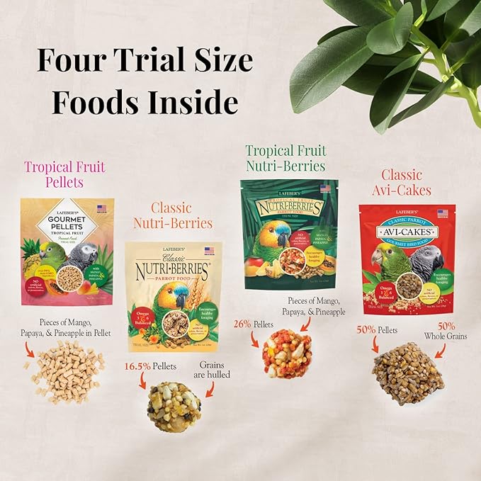 LAFEBER'S Foraging Fun Pack Pet Bird Food, Made with Non-GMO and Human-Grade Ingredients 5 oz (Parrot)