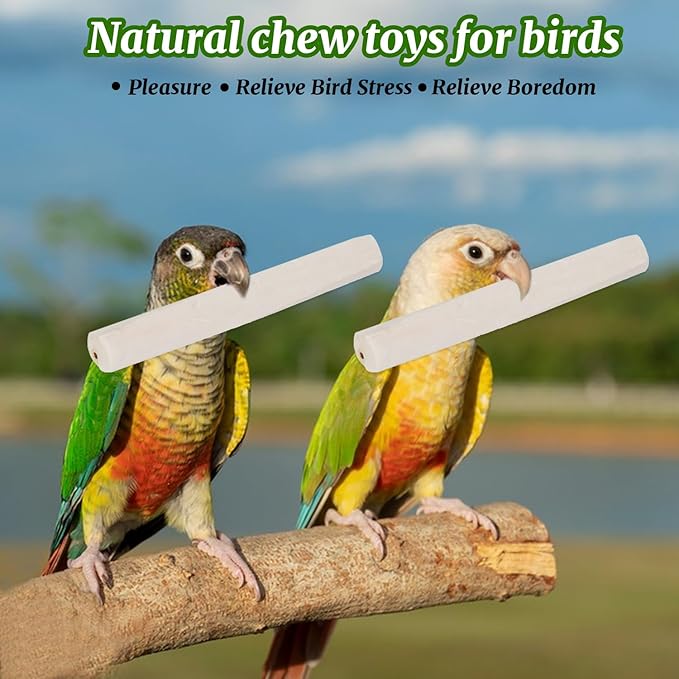 20 Pieces Bird Parrot Chew Toy Sola Sticks, Natural Parrot Soft Chew Shredding & Foraging Toy, Bird Foot Toys for Cockatiel Conure Quaker Budgie Parakeet Bunny Guinea Pig Chinchilla Rabbit