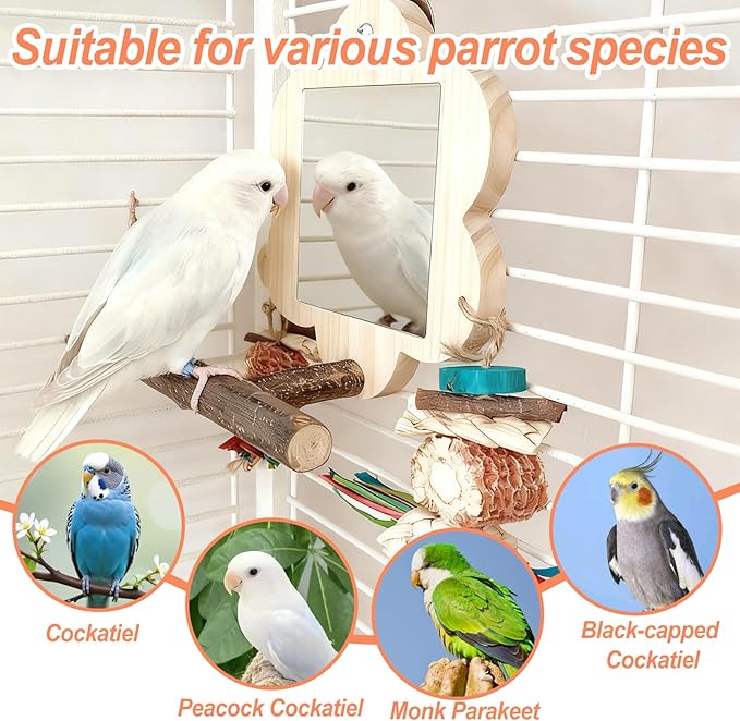 Bird Mirror with Perch, Cockatiel Mirror for Cage, Parakeet Toys with Chew Toy,Bird Cage Accessories for Parrot Conure Lovebirds Finch Canaries(Pinecone)
