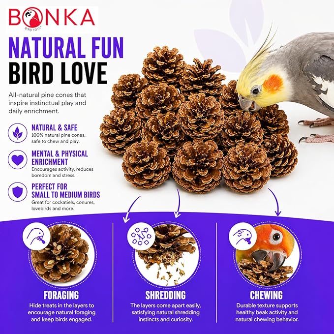 Bonka Bird Toys 3284 Natural Pine Cone Bird Toy 2" Real Pinecone Chew Foraging Toy for Small to Medium Birds Parakeet Cockatiel Conure Finch Cage Enrichment (Pack of 24)