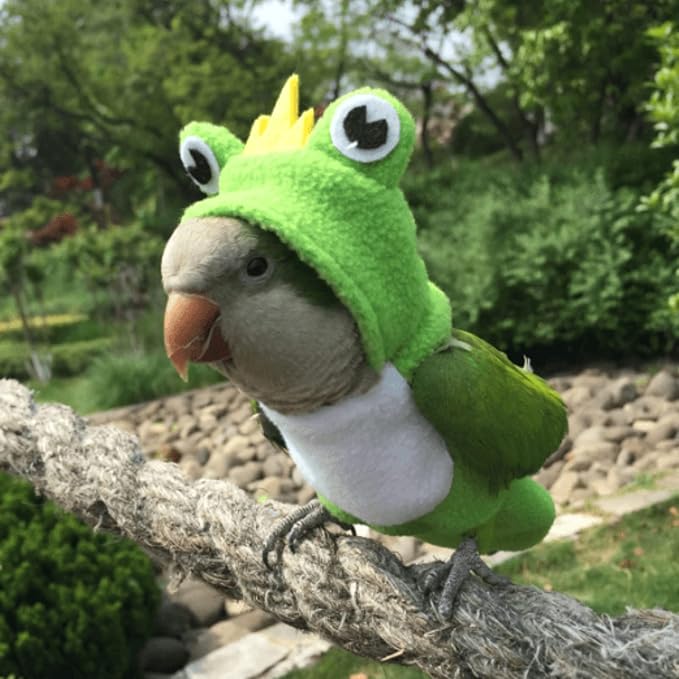 Bird Costume Diaper Flight Suit Frog Shape Hoodie Clothes Cosplay Photo Prop for Parrots Parakeet Cockatiel Sun Conure, Small Animals Apparel (Pink with Diaper, Large), Green (BPF1)