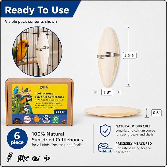 Birds LOVE 5.5-6″ Cuttlebone for Birds – 100% Natural Sun-Dried Calcium & Beak Conditioning Supplement for Parakeets, Budgies, Cockatiels, Finches & Canaries – 6 Pack with Holder – Made in Vietnam