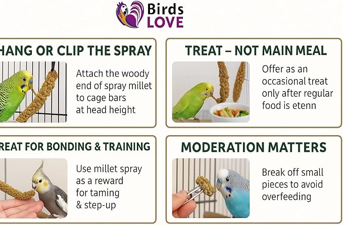 Birds LOVE French Kissed Spray Millet for Birds - Parakeets, Cockatiels, Lovebirds, Finches, Budgies, Canaries, Cockatoos - Natural & Healthy Bird Millet - Parakeet Food & Treats for all Parrots 25lbs