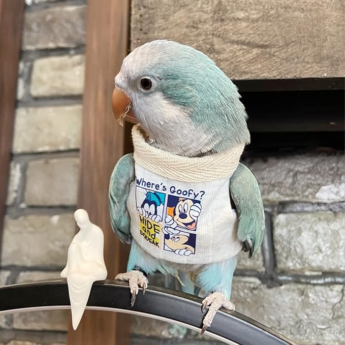 Sun Conure Bird Diaper Flight Suit Frog Shape Hoodie Cosplay Photo Prop for Parrots, Parakeet, Cockatiel - Bird Hoodie Small Animals Apparel (White Without Hat, Small)
