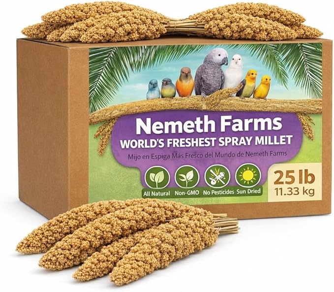 Nemeth Farms Spray Millet for Birds - Natural Non-GMO Millet Treat for Parakeets, Cockatiels & Parrots - 25 lb